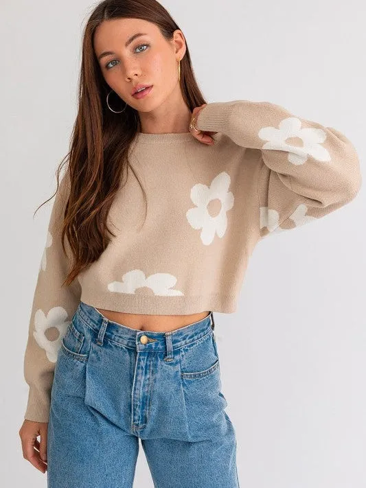 Daisy Cute Long Sleeve Cropped Sweater