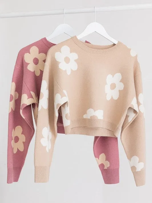 Daisy Cute Long Sleeve Cropped Sweater