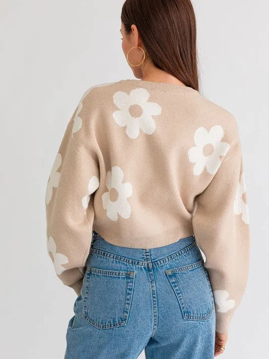 Daisy Cute Long Sleeve Cropped Sweater