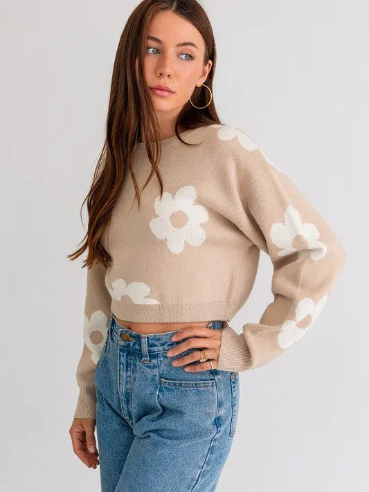 Daisy Cute Long Sleeve Cropped Sweater