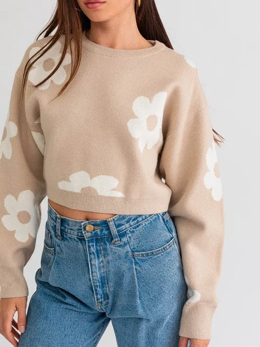 Daisy Cute Long Sleeve Cropped Sweater