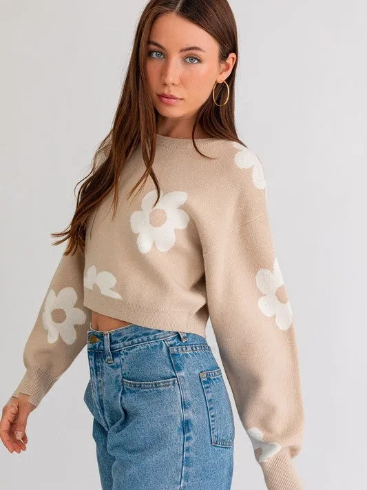 Daisy Cute Long Sleeve Cropped Sweater